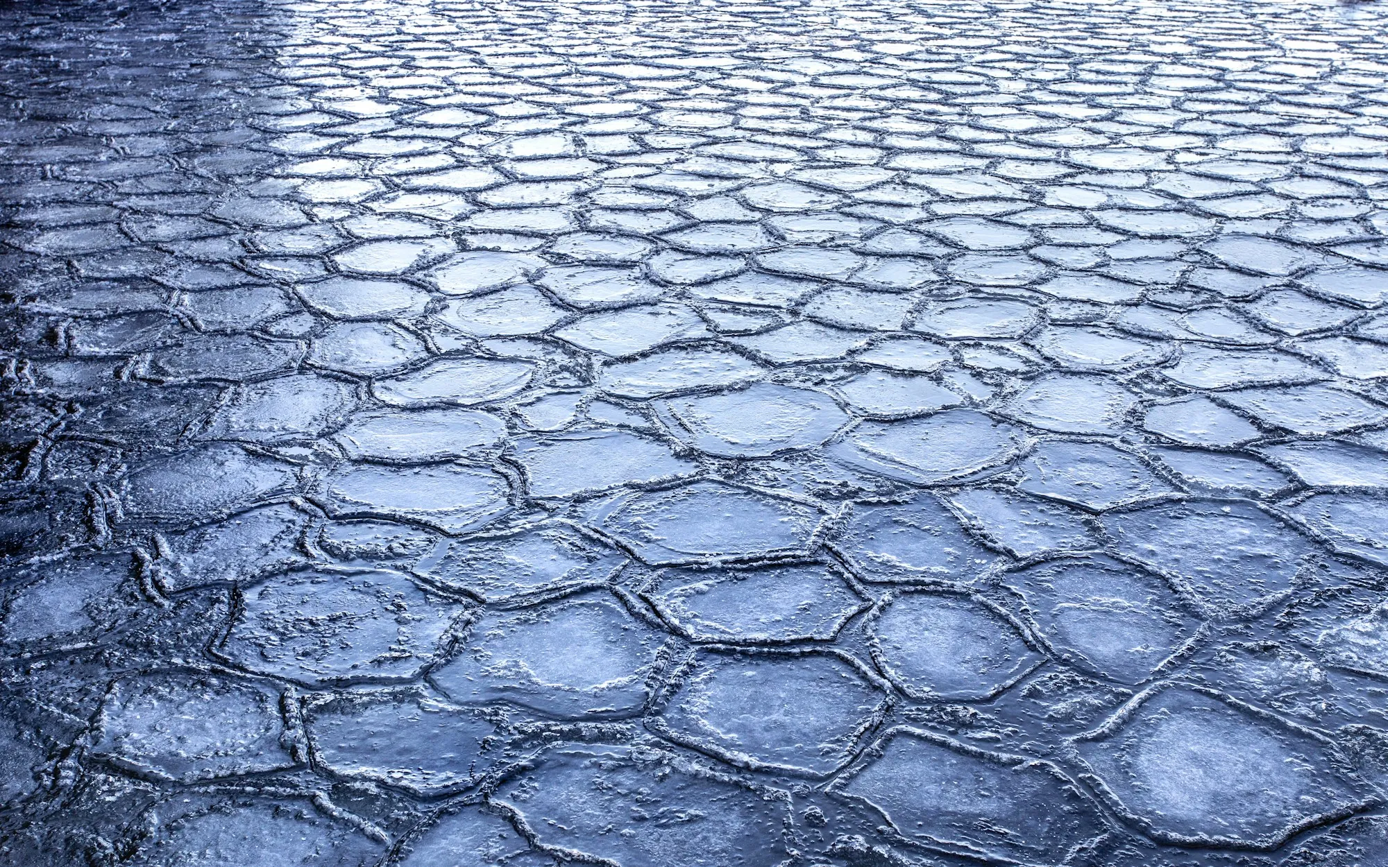 Blue-gray stamped concrete with a cobblestone pattern